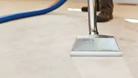 Carpet cleaning wand head gliding over a light carpet during hot-water extraction, Bloomington, IN.