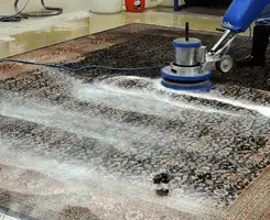 Professional rug cleaning with a rotary floor machine and shampoo foam, deep-cleaning an area rug, in Bloomington, IN.