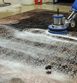 Professional rug cleaning with a rotary floor machine and shampoo foam, deep-cleaning an area rug Bloomington, IN.
